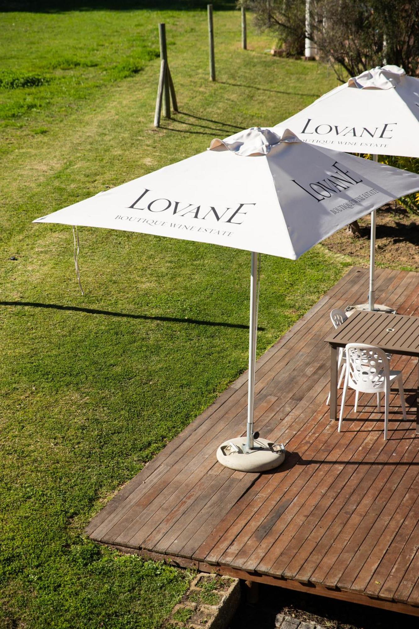 Lovane Boutique Wine Estate And Guesthouse Stellenbosch Exterior photo