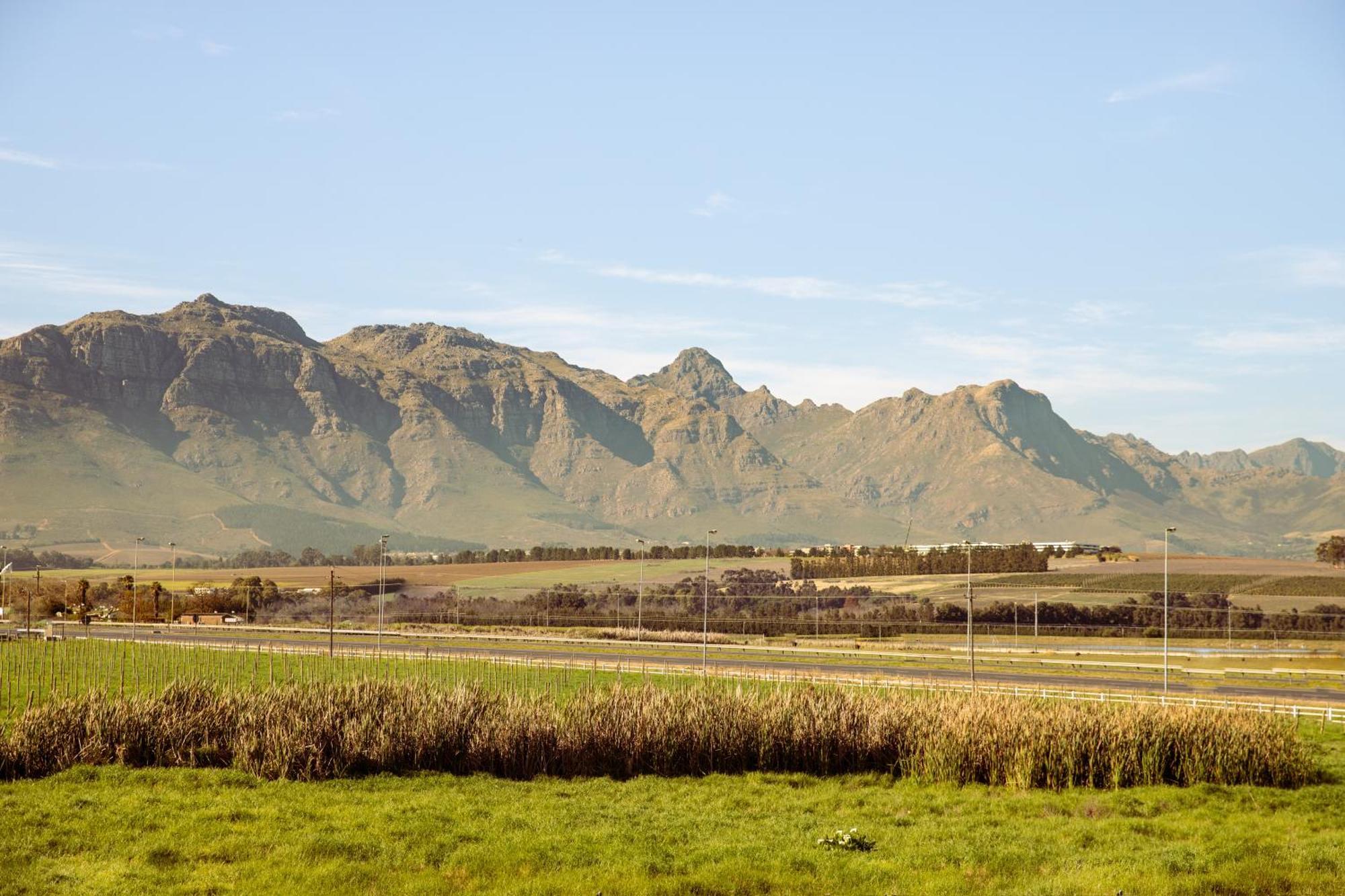 Lovane Boutique Wine Estate And Guesthouse Stellenbosch Exterior photo